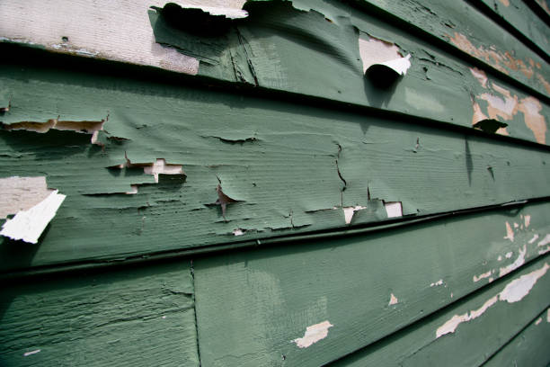 Best Construction Debris Removal  in Chester, WV