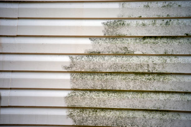 Best Mattress Disposal  in Chester, WV